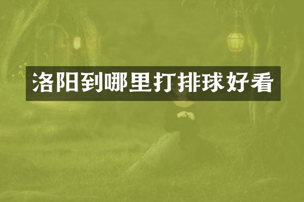洛阳到哪里打排球好看