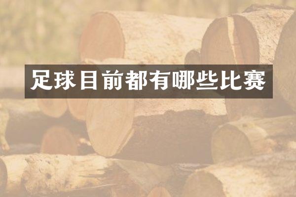 足球目前都有哪些比赛