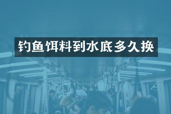钓鱼饵料到水底多久换