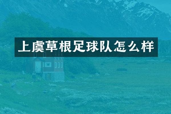 上虞草根足球队怎么样