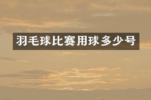 羽毛球比赛用球多少号