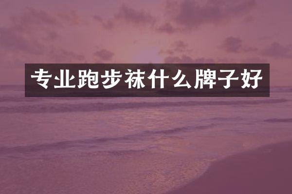 专业跑步袜什么牌子好