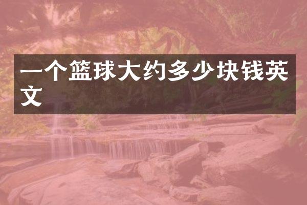 一个篮球大约多少块钱英文