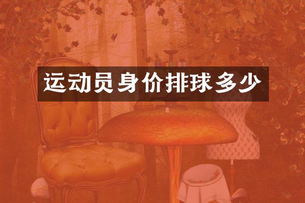 运动员身价排球多少