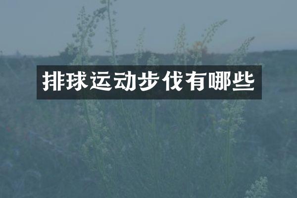 排球运动步伐有哪些
