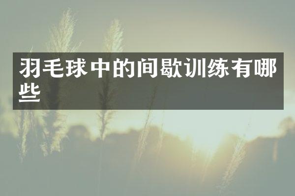 羽毛球中的间歇训练有哪些