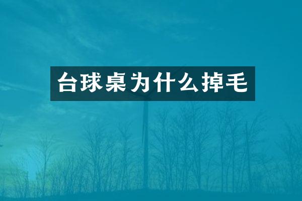 台球桌为什么掉毛