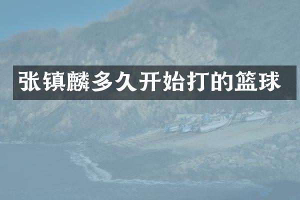 张镇麟多久开始打的篮球