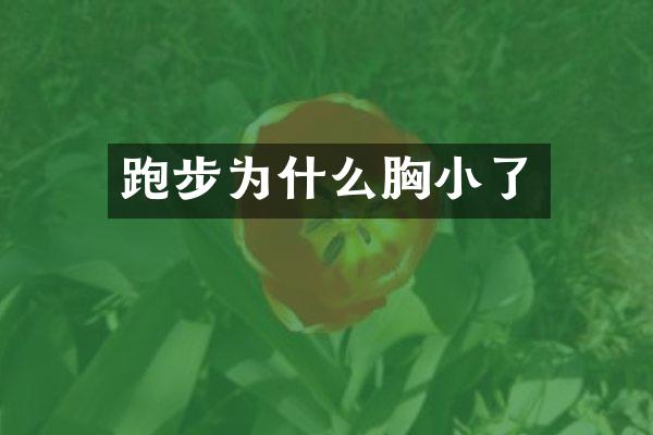 跑步为什么胸小了