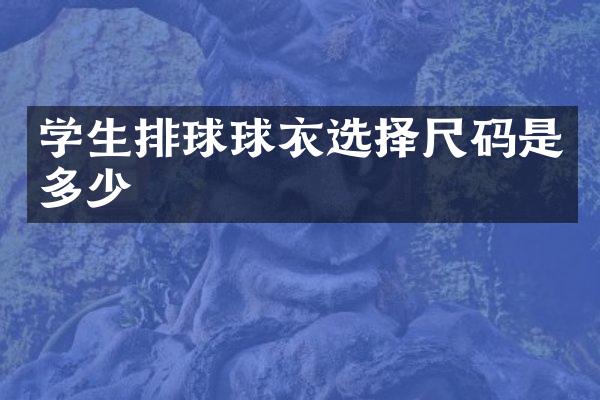 学生排球球衣选择尺码是多少