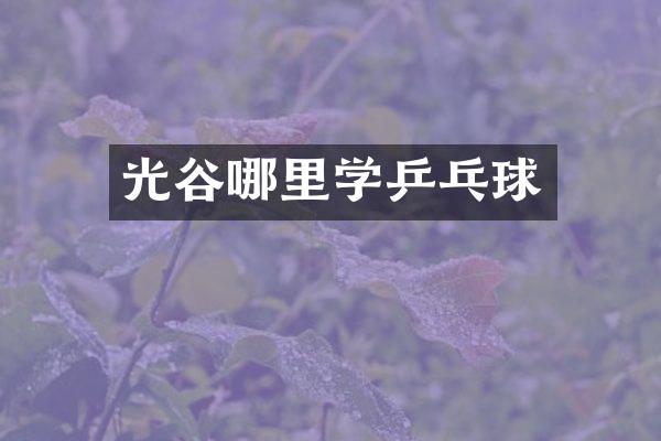 光谷哪里学乒乓球