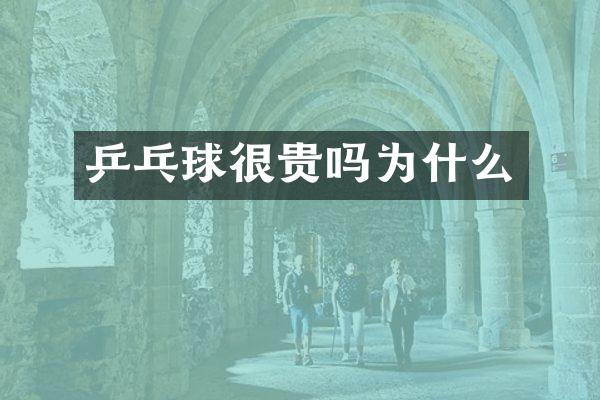 乒乓球很贵吗为什么