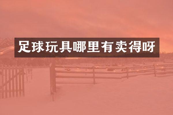 足球玩具哪里有卖得呀