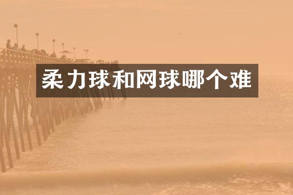 柔力球和网球哪个难