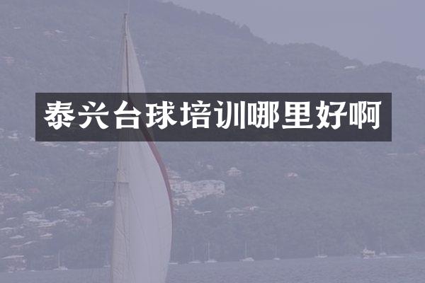 泰兴台球培训哪里好啊
