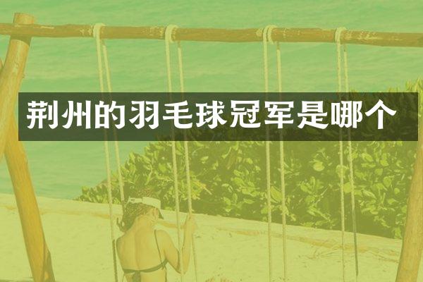 荆州的羽毛球冠军是哪个