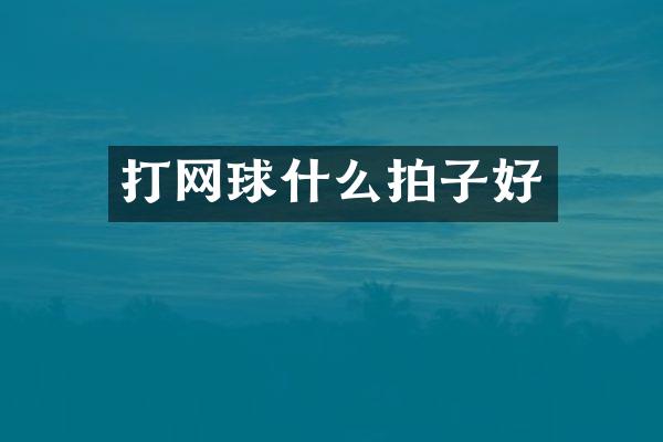 打网球什么拍子好