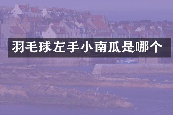 羽毛球左手小南瓜是哪个