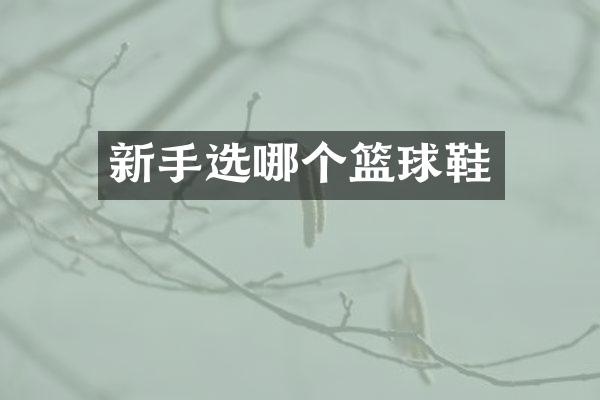 新手选哪个篮球鞋