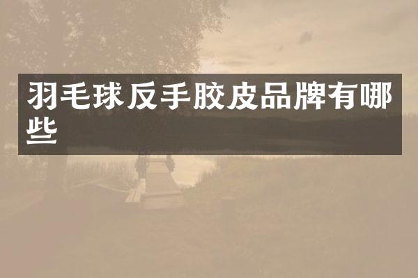 羽毛球反手胶皮品牌有哪些