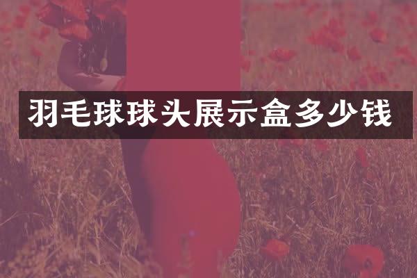 羽毛球球头展示盒多少钱