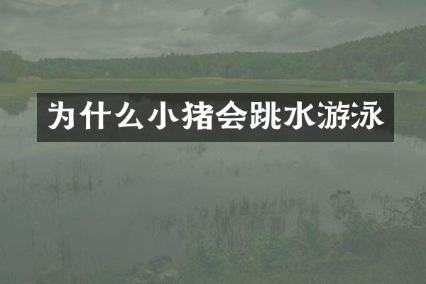 为什么小猪会跳水游泳