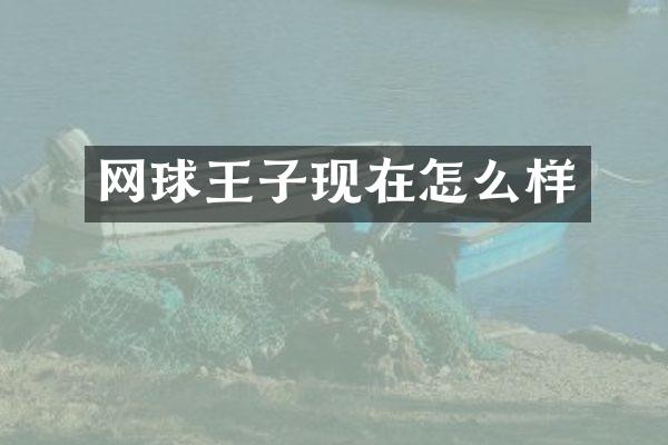 网球王子现在怎么样