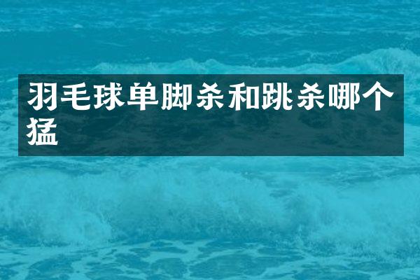羽毛球单脚杀和跳杀哪个猛
