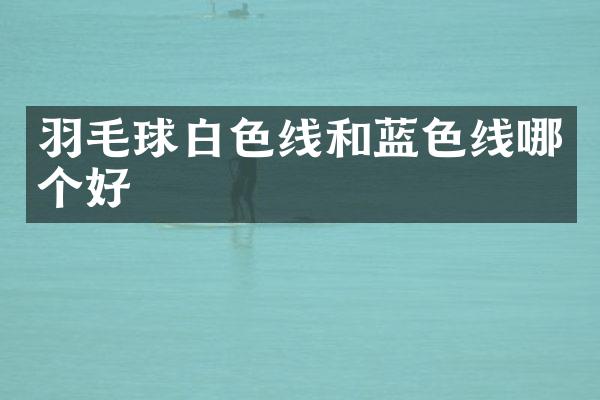 羽毛球白色线和蓝色线哪个好