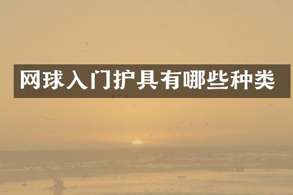 网球入门护具有哪些种类