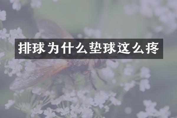 排球为什么垫球这么疼