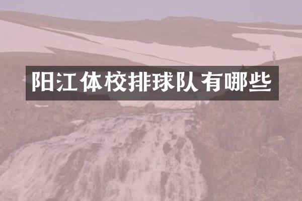 阳江体校排球队有哪些