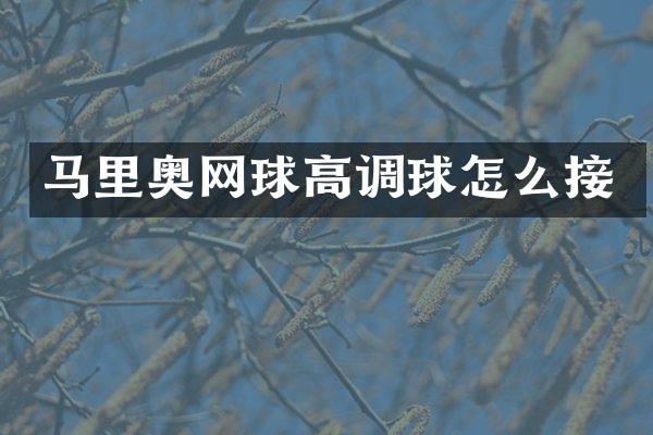 马里奥网球高调球怎么接