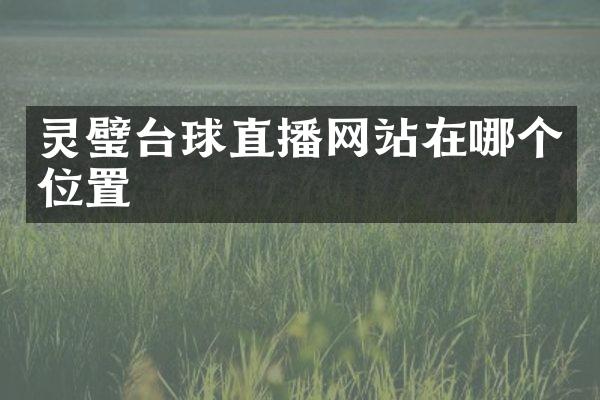 灵璧台球直播网站在哪个位置