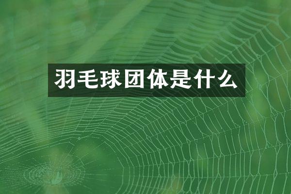 羽毛球团体是什么