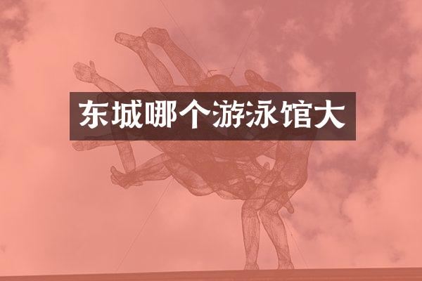 东城哪个游泳馆大