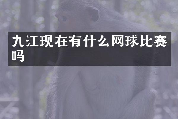 九江现在有什么网球比赛吗