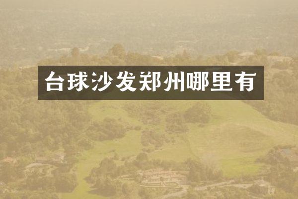 台球沙发郑州哪里有