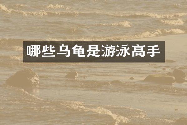 哪些乌龟是游泳高手