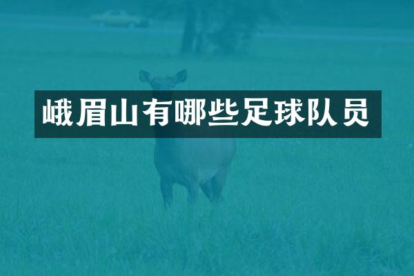 峨眉山有哪些足球队员