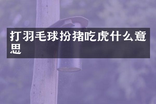 打羽毛球扮猪吃虎什么意思