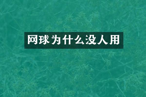 网球为什么没人用