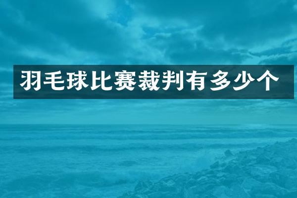 羽毛球比赛裁判有多少个