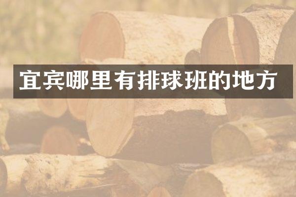 宜宾哪里有排球班的地方