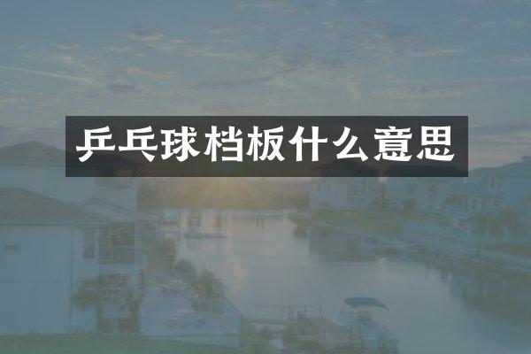 乒乓球档板什么意思