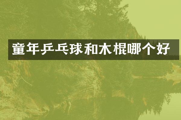 童年乒乓球和木棍哪个好