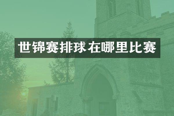 世锦赛排球在哪里比赛