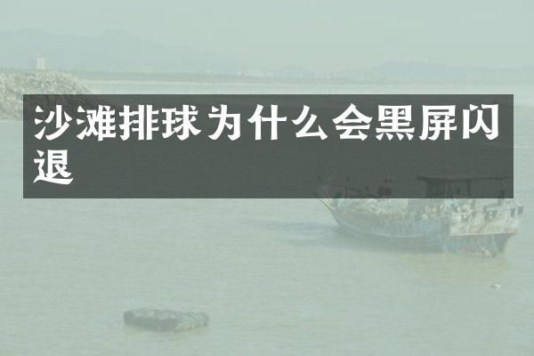 沙滩排球为什么会黑屏闪退