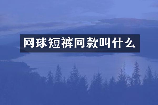 网球短裤同款叫什么