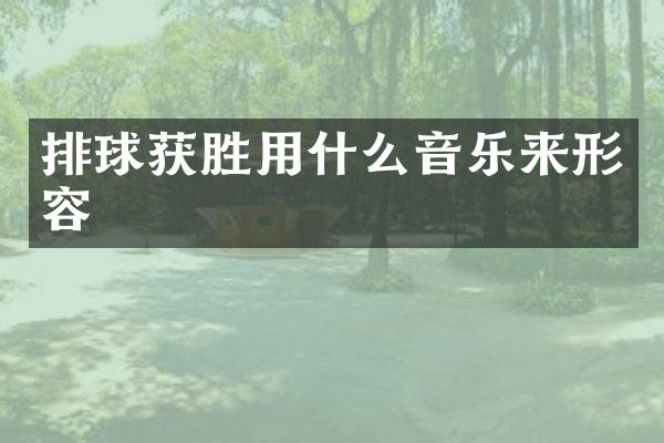 排球获胜用什么音乐来形容